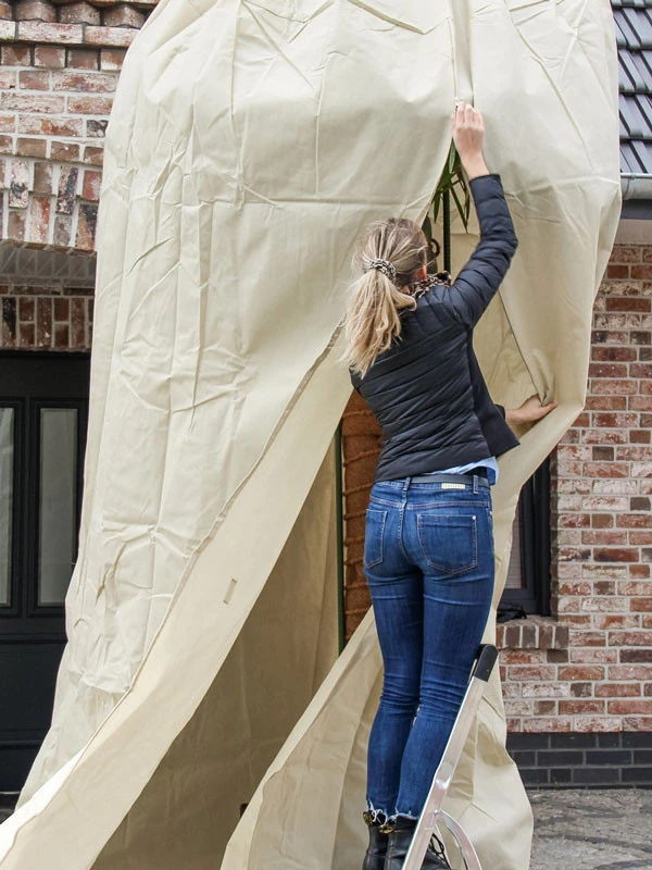 Winterschutz Palmen-Vlieshaube (Art.Nr. Vi29597) – Bild 2