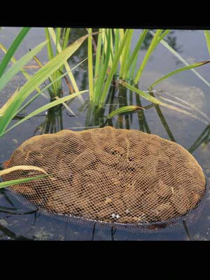 Aquahumin Von OASE (Art.Nr.53759) – Bild 2