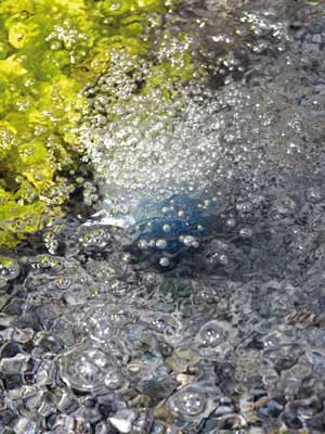 AquaOxy 250 Von OASE (Art.Nr. 34064) – Bild 2