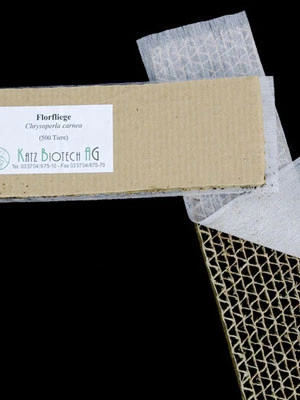 Florfliege (Art.Nr. KB4070) – Bild 3