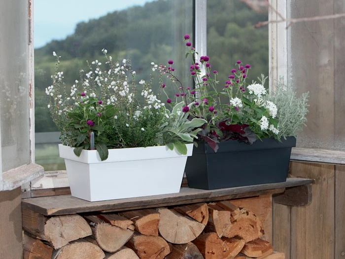 Blumenkasten Cube Case – Bild 2