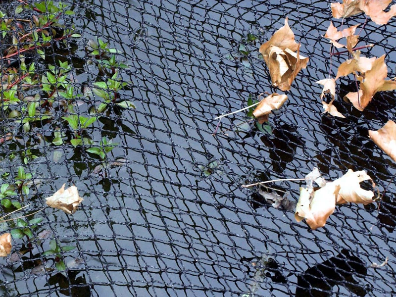 Cover Net Von Velda – Bild 2