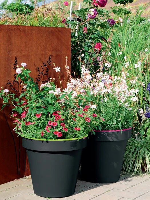Pflanzkübel E&K Bicolor – Bild 3