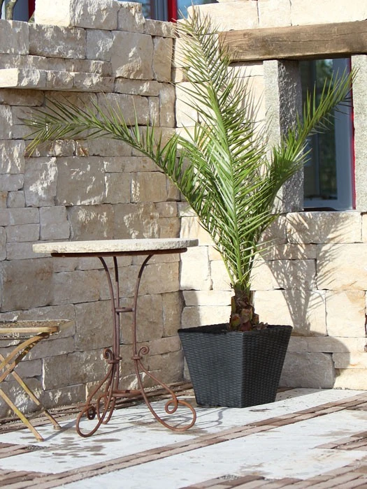 Pflanzkübel Geflecht-Dekor – Bild 9