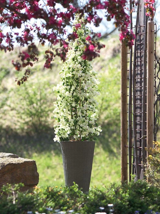 Pflanzkübel Geflecht-Dekor – Bild 7