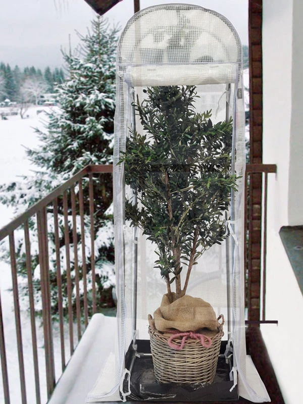 Frost-Schutzhaus SNOW (Art.Nr. V29933) – Bild 7