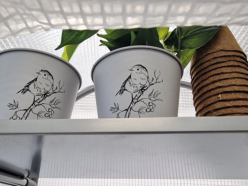 Frost-Schutzhaus SNOW (Art.Nr. V29933) – Bild 5