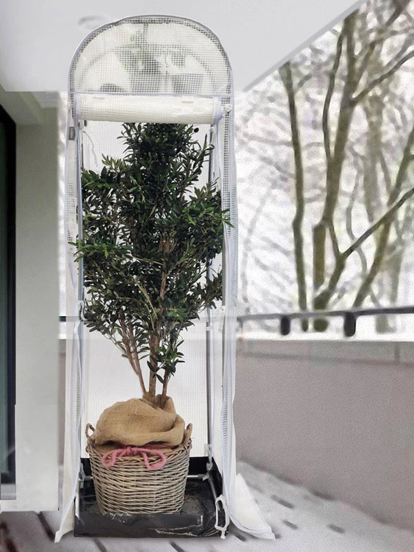 Frost-Schutzhaus SNOW (Art.Nr. V29933) – Bild 4