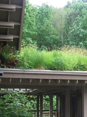 Gründach-Paket Für 15 Qm Dachfläche – Bild 3