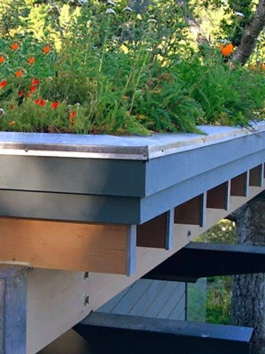 Gründach-Paket Für 15 Qm Dachfläche – Bild 2