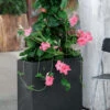 Pflanzkübel Raumteiler "Kubus"