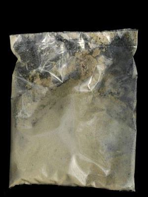 Dickmaulrüssler-Nematoden (Art.Nr. KB4157) – Bild 2