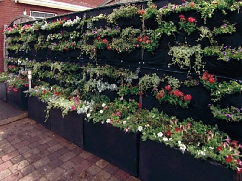 Overgrowing Mat Von Velda (Art.Nr.Vel127590) – Bild 3