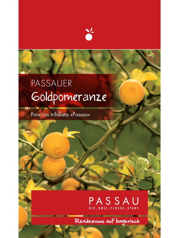 Passauer Goldpomeranze, Poncirus Trifoliata 'Passau' – Bild 2