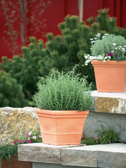 Pflanzkübel Parma – Bild 2