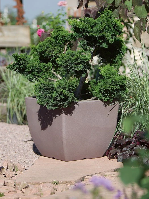 Pflanztopf Ravenna – Bild 3