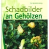 BdB-Handbuch 'Schadbilder An Gehölzen'