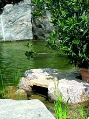 BIOsys Skimmer+ Von OASE (Art.Nr.57137) – Bild 2