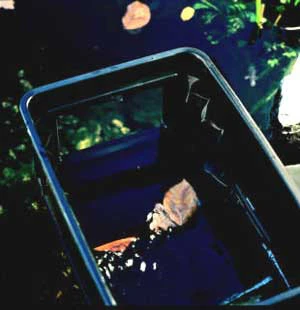 BIOsys Skimmer+ Von OASE (Art.Nr.57137) – Bild 3