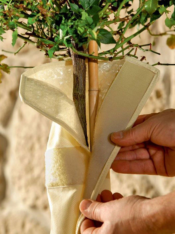 Stammschutz "ThermoPlus" (Art. STA 100-30) – Bild 2