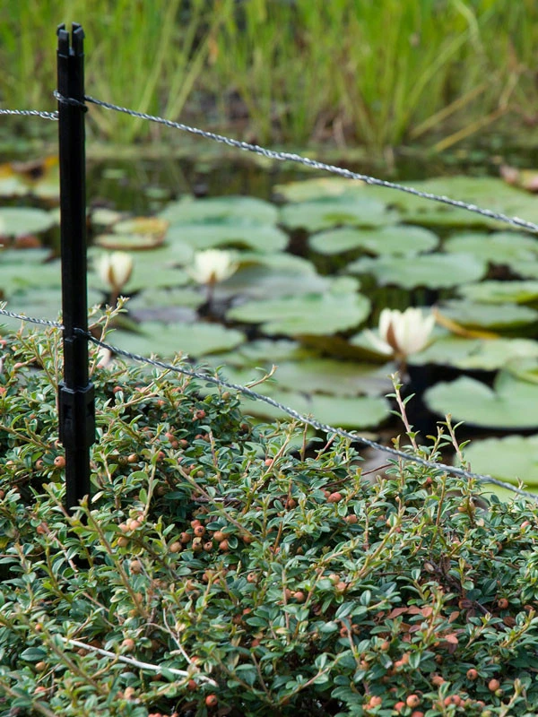 Ultra Protector Von Velda (Art.Nr.Vel128026) – Bild 3